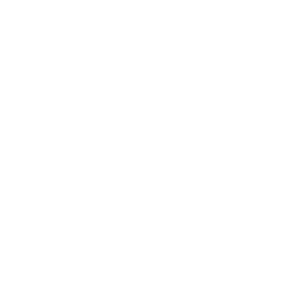Palantir logo