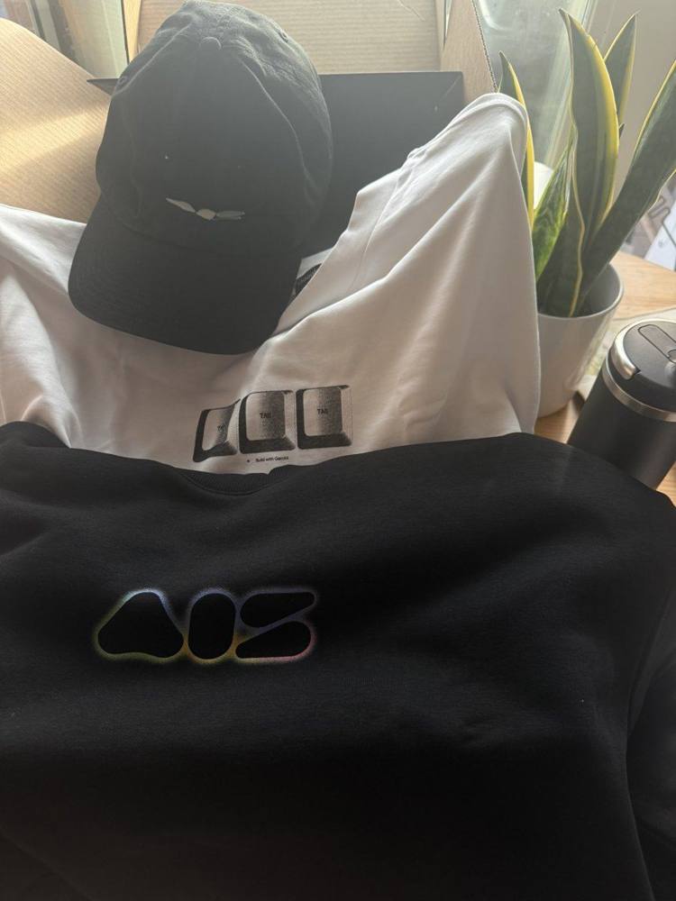 Google DeepMind 'AIS' boxed kit: embroidered hoodie, tee, cap